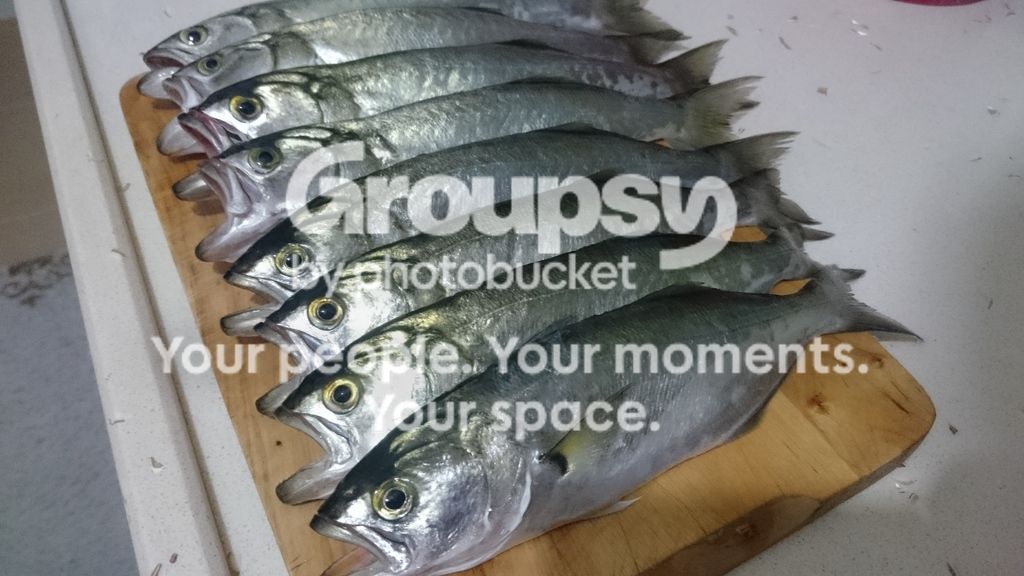 DSC_0448_zpsqi5vsxwe.jpg